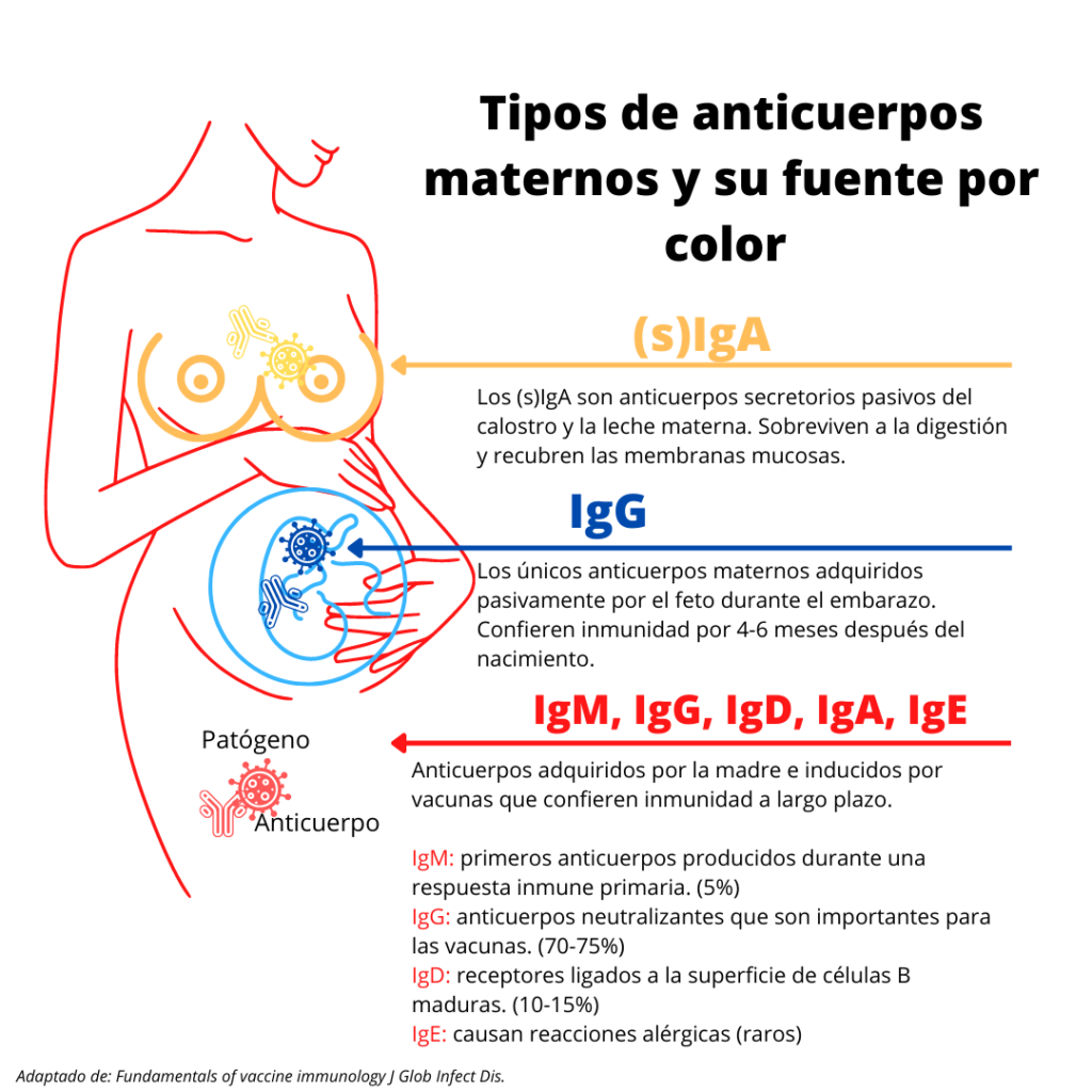 Anticuerpos en la leche materna