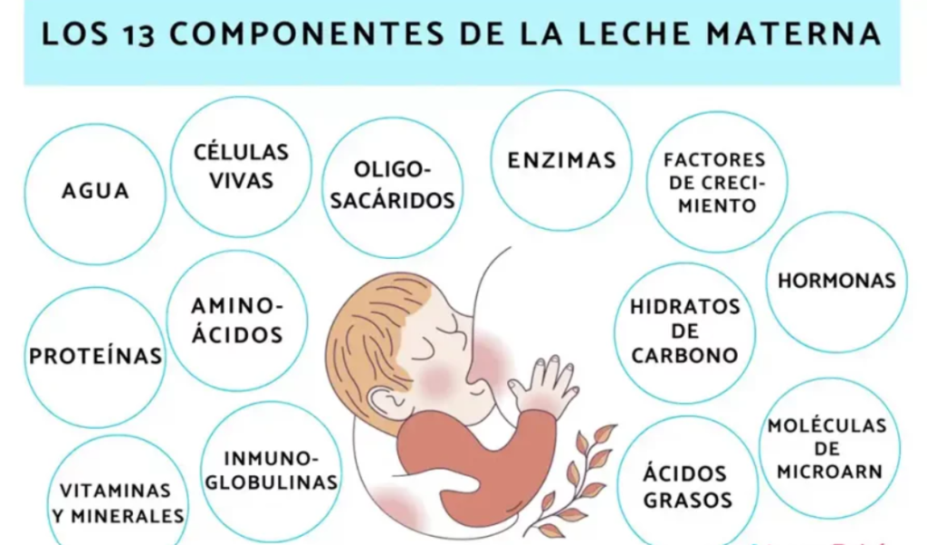 Componentes de la leche materna