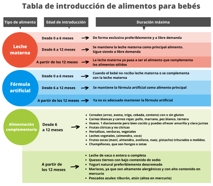 Introducción de alimentos complementarios