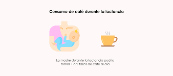 La Transferencia de Cafeína a la Leche Materna