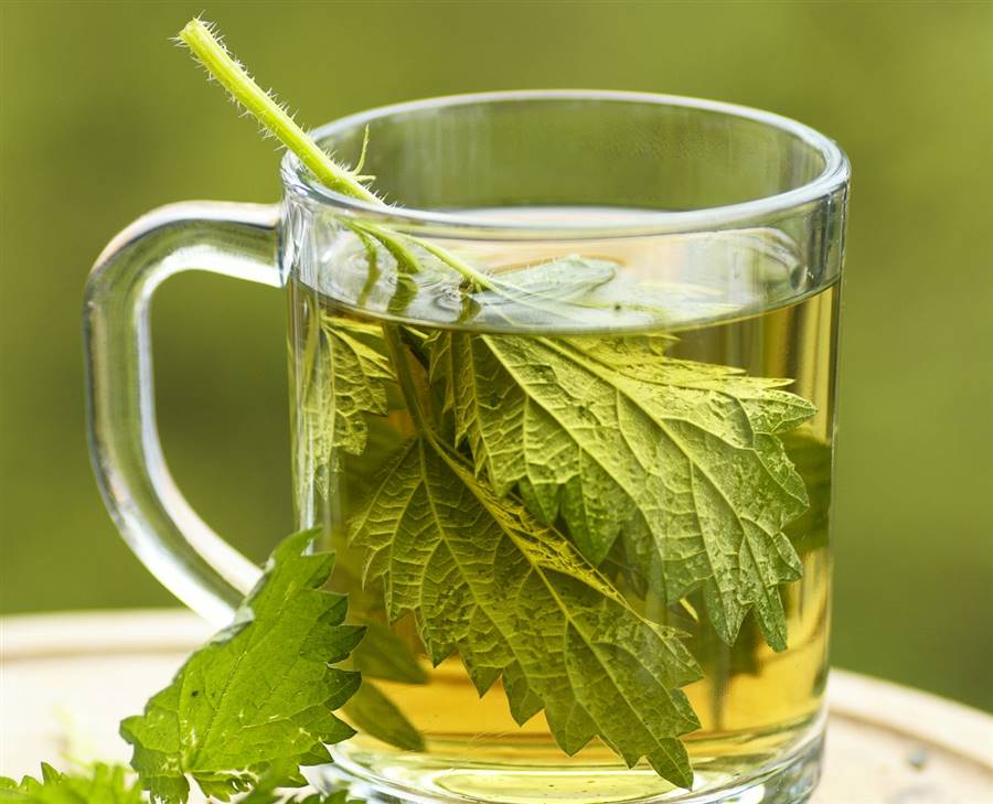 Té de menta piperita